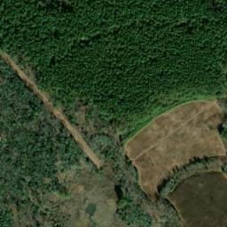 Satellite imagery of Cedar Point Neck, US