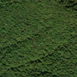 Satellite imagery of Blakey Ridge, US