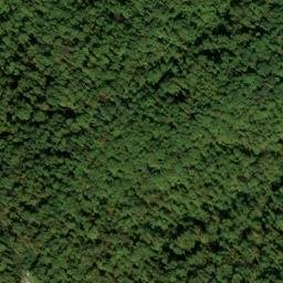 Satellite imagery of Blakey Ridge, US