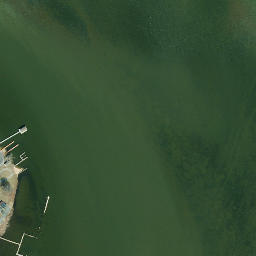 Satellite imagery of Seegars Point, US