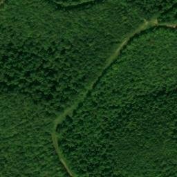 Satellite imagery of Buck Lick Ridge, US