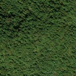 Satellite imagery of Blakey Ridge, US