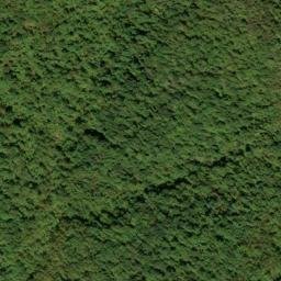 Satellite imagery of Blakey Ridge, US