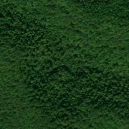 Satellite imagery of Buck Lick Ridge, US