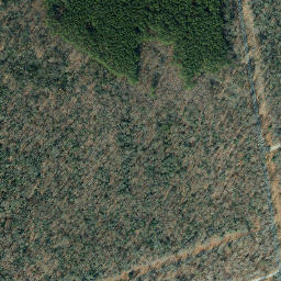 Satellite imagery of Bennetts Point, US