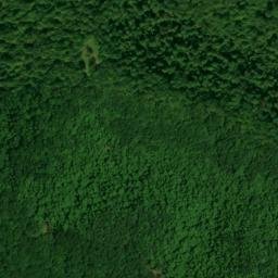 Satellite imagery of Buck Lick Ridge, US