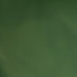 Satellite imagery of Gourds Point, US
