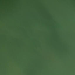 Satellite imagery of Bennetts Point, US