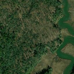 Satellite imagery of Benny Gray Point, US