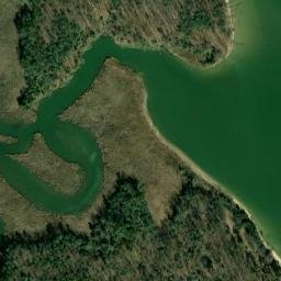 Satellite imagery of Benny Gray Point, US