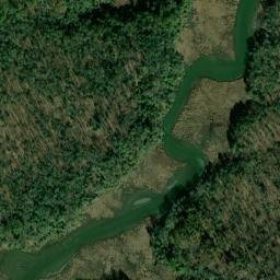Satellite imagery of Benny Gray Point, US