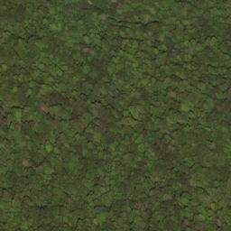Satellite imagery of Slaty Ridge, US