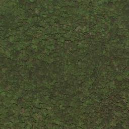Satellite imagery of Slaty Ridge, US