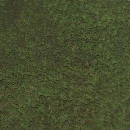 Satellite imagery of Slaty Ridge, US