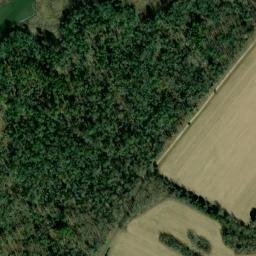 Satellite imagery of Benny Gray Point, US