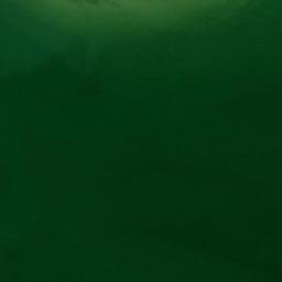 Satellite imagery of Blossom Point, US