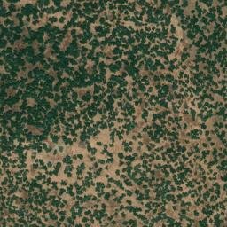 Satellite imagery of survey_point, ES