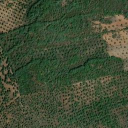 Satellite imagery of survey_point, PT