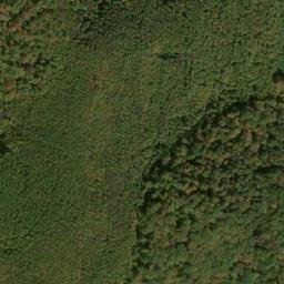 Satellite imagery of Fork Ridge, US