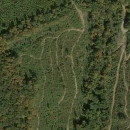 Satellite imagery of Fork Ridge, US
