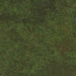 Satellite imagery of Slaty Ridge, US