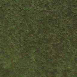 Satellite imagery of Slaty Ridge, US
