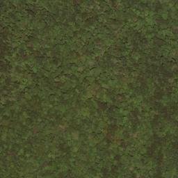 Satellite imagery of Slaty Ridge, US