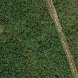 Satellite imagery of Lick Ridge, US
