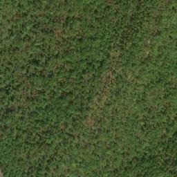 Satellite imagery of Lick Ridge, US