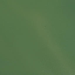 Satellite imagery of Shackley Point, US