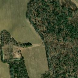 Satellite imagery of Woodland Point, US