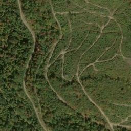 Satellite imagery of Fork Ridge, US