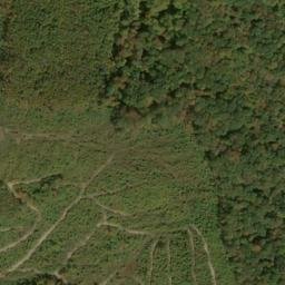 Satellite imagery of Fork Ridge, US