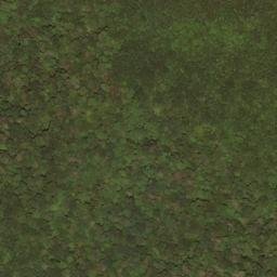 Satellite imagery of Slaty Ridge, US