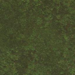 Satellite imagery of Slaty Ridge, US