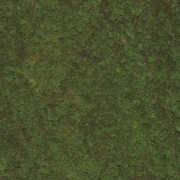 Satellite imagery of Slaty Ridge, US