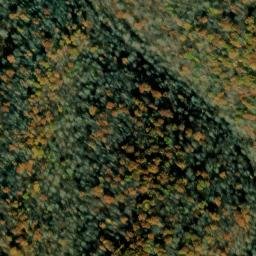 Satellite imagery of Ramshorn, US