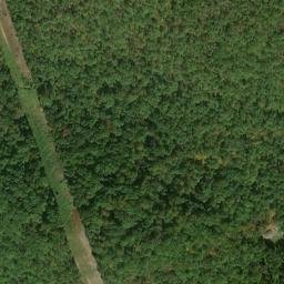 Satellite imagery of Lick Ridge, US