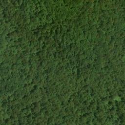 Satellite imagery of Flattop Ridge, US
