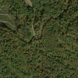 Satellite imagery of Fork Ridge, US