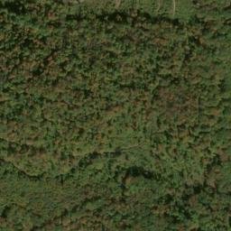 Satellite imagery of Fork Ridge, US