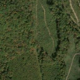 Satellite imagery of Fork Ridge, US