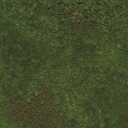 Satellite imagery of Buzzard Ridge, US