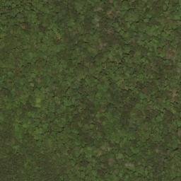 Satellite imagery of Buzzard Ridge, US