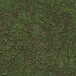 Satellite imagery of Buzzard Ridge, US