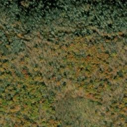 Satellite imagery of Ramshorn, US
