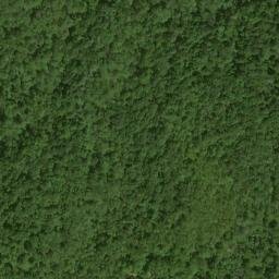 Satellite imagery of Burnt Ridge, US