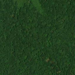 Satellite imagery of Thomas Point, US