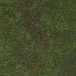 Satellite imagery of Buzzard Ridge, US