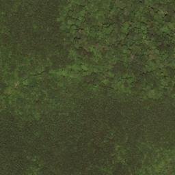 Satellite imagery of Buzzard Ridge, US